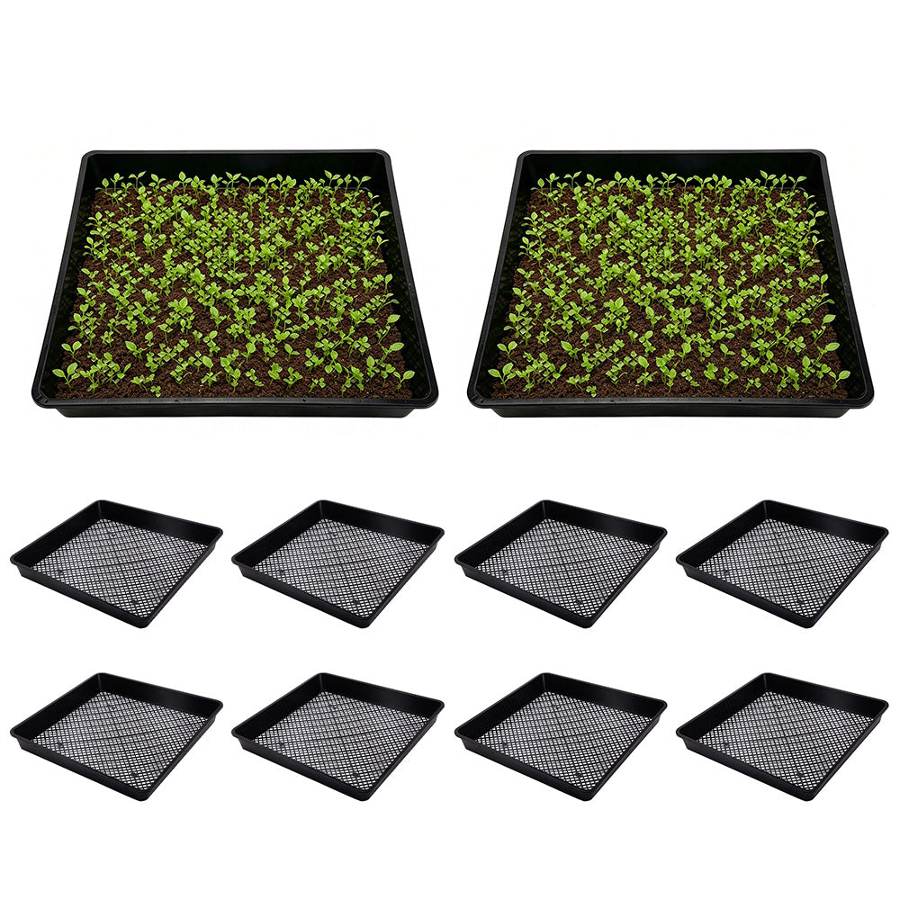 10 Piece 40cm Square Fine Hole Seedling Trays for Propagation