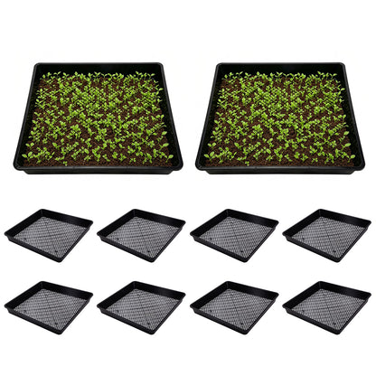 10 Piece 40cm Square Fine Hole Seedling Trays for Propagation