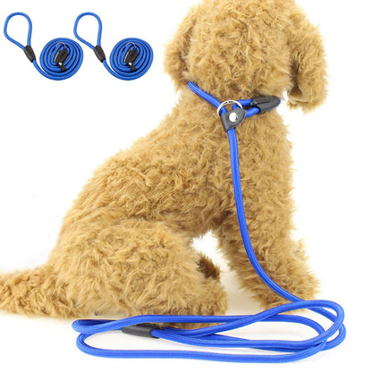 2 Pack 1.4M Pet Training Leash Slip Lead Pets Nylon Rope - Blue