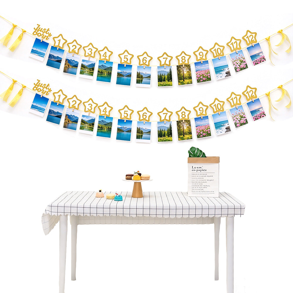 1 to 12 Month Glitter Star Photo Banner for First Birthday Party