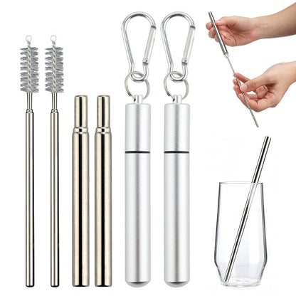 2 Piece Collapsible Stainless Steel Travel Straws with Cases - Silver