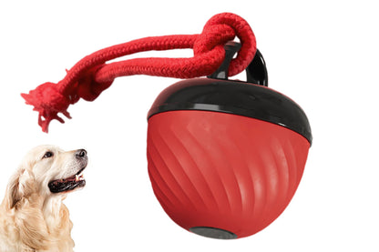 Squeaky Dog Toy Active Rolling Ball Interactive Dog Toys Motion Activated-Red