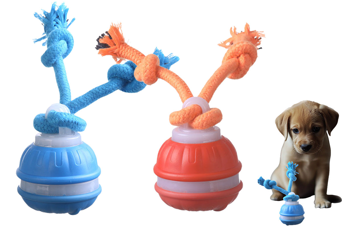 2Pcs USB Rechargeable Rolling Dog Ball Toy Blue and Orange