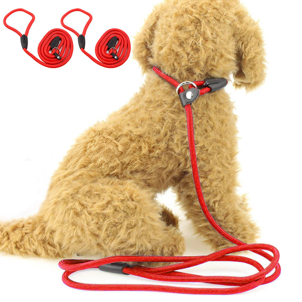 2 Pack 1.4M Pet Training Leash Slip Lead Pets Nylon Rope - Red
