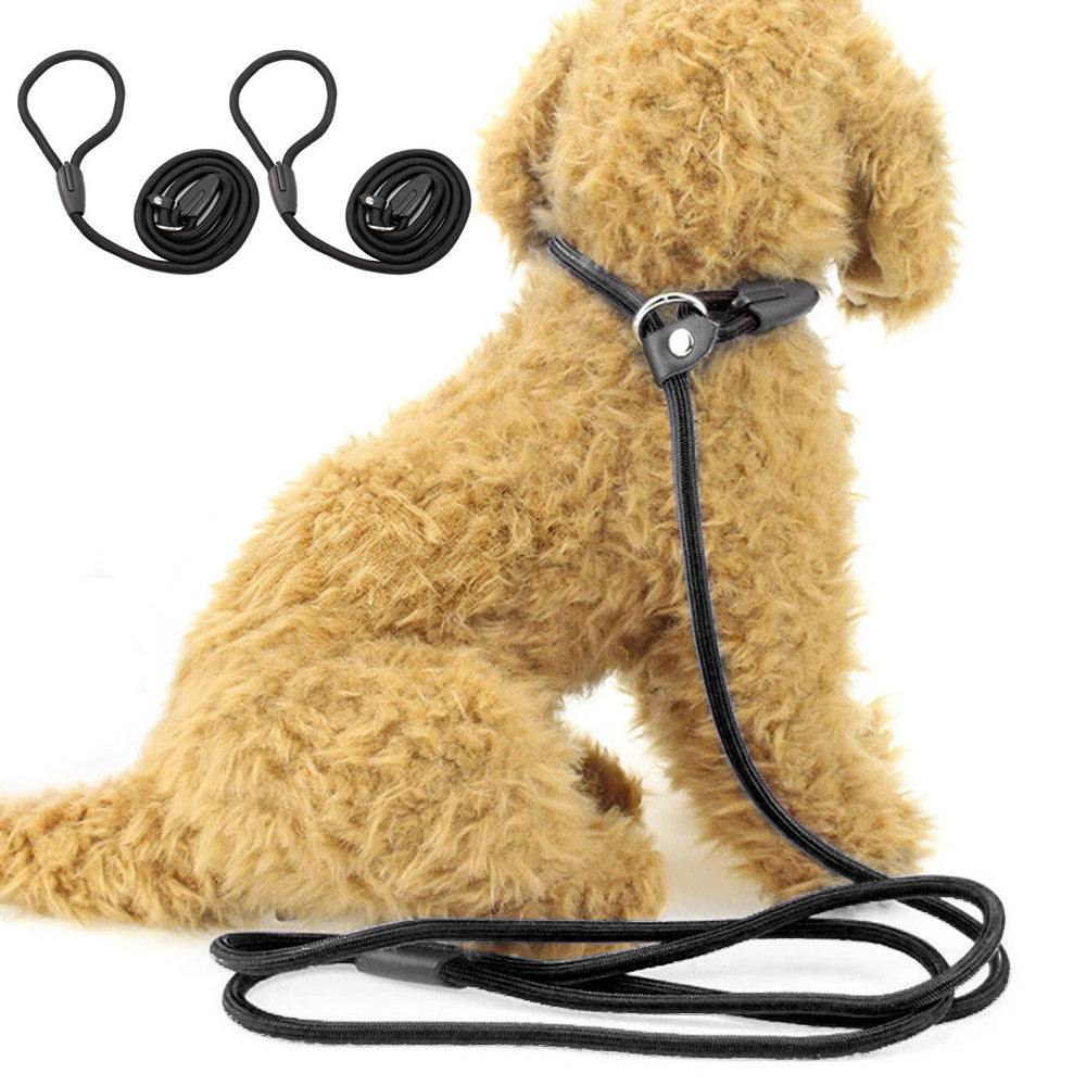 2 Pack 1.4M Pet Training Leash Slip Lead Pets Nylon Rope - Black