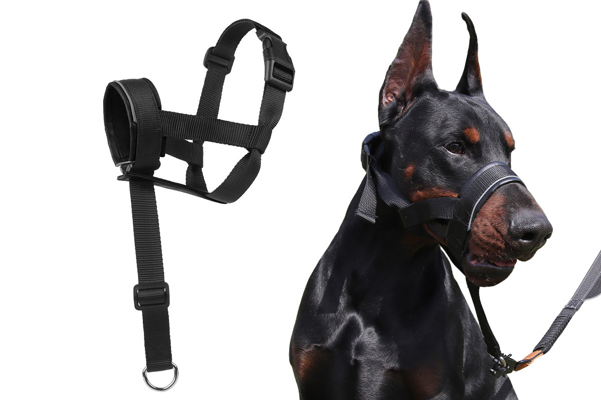 Adjustable Dog Head Collar with Padded Nose Loop for Training