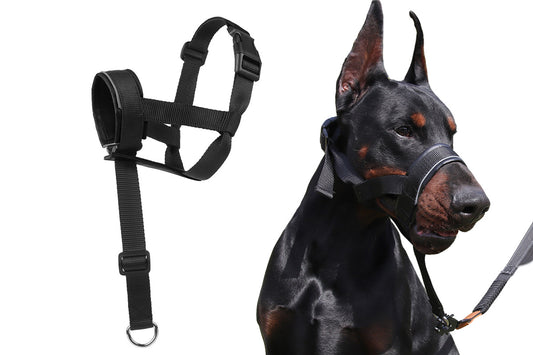 Adjustable Dog Head Collar with Padded Nose Loop for Training