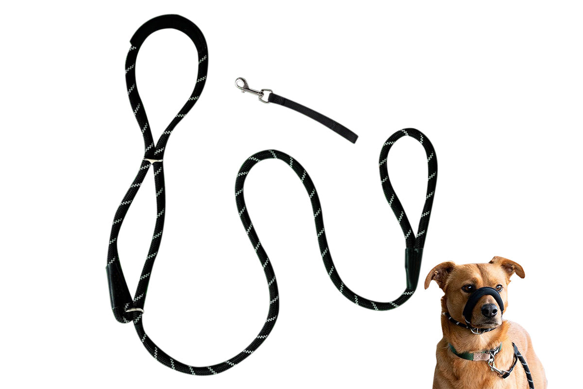 Black Dog Lead with Padded Nose Loop Anti-Pull Training Leash for Medium and Large Dogs