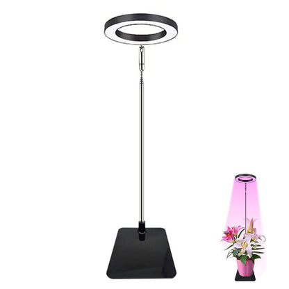 Grow Light for Indoor Plants Full Spectrum 20 LED with Adjustable Brightness
