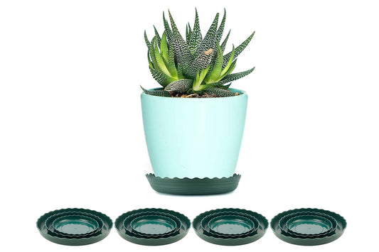 12Pcs Round Plastic Plant Saucers Durable Flower Pot Tray for Indoor Outdoor