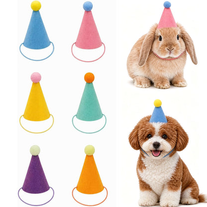 Pet and Plush Toy Birthday Party Hat with Adjustable Elastic Photo Prop