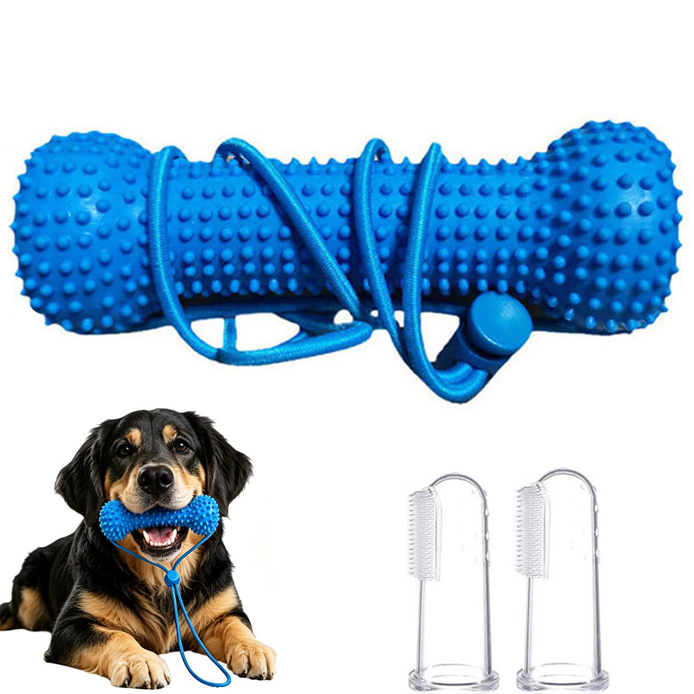 Durable Rubber Bone Dog Chew Toy with 2 Toothbrushes