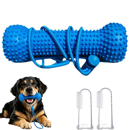 Durable Rubber Bone Dog Chew Toy with 2 Toothbrushes